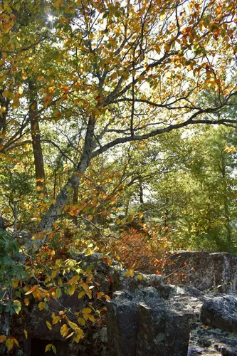 2023 Best Moderate Trails in Crimora AllTrails