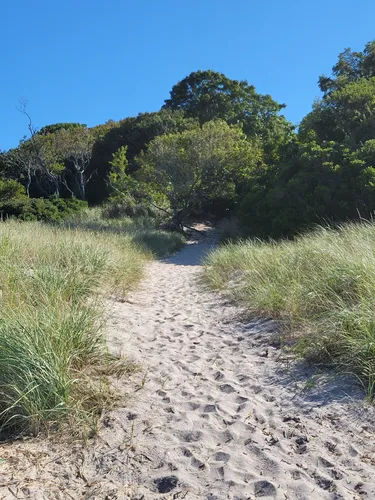 2023 Best Views Trails in Wading River AllTrails