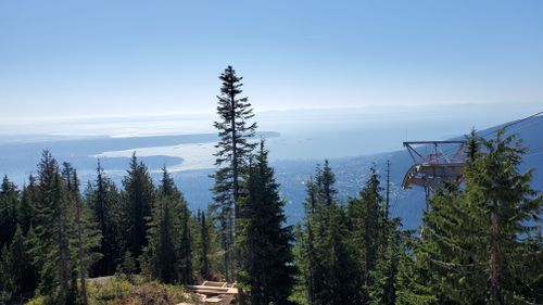 Grouse Mountain Via Larsen Trail And BCMC Trail, British, 46% OFF