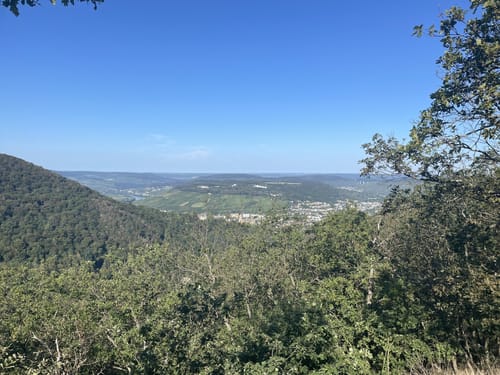 Bernkasteler Bärensteig (Moselsteig Seitensprung)