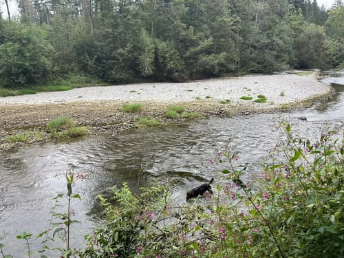 Wanderrundweg 12: Haslach -Argental - Schomburg
