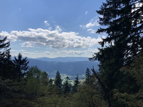 Goldsteig Nordroute Etappe 12: Schönbuchen nach Eck