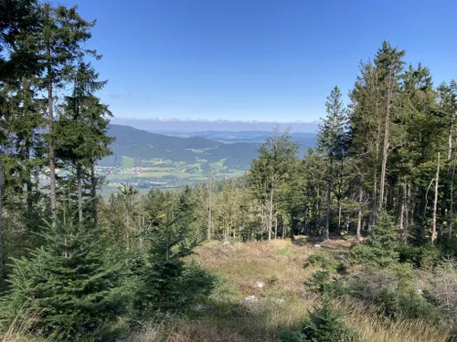 10 Best Trails and Hikes in Hohenwarth