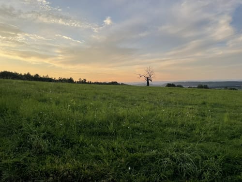 Steinbachpfad (Premiumwanderweg)