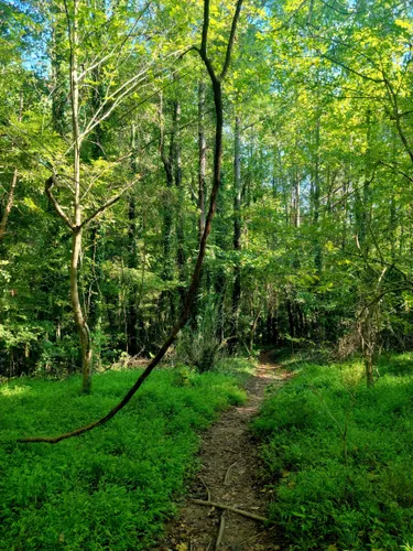 2023 Best River Trails in Carrboro | AllTrails