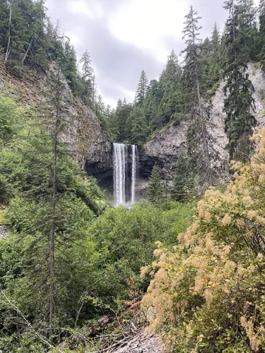 Mt hood hotsell national forest waterfalls