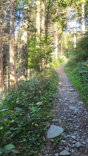 Monschau-Rurtal-Rundweg 35