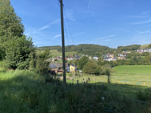 Von Höfchen nach Waldrach entlang der Ruwer