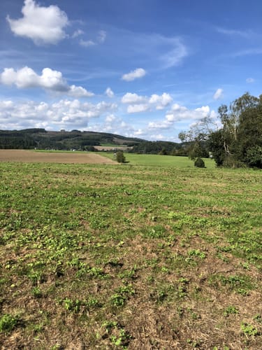 Rund um den Flugplatz Attendorn