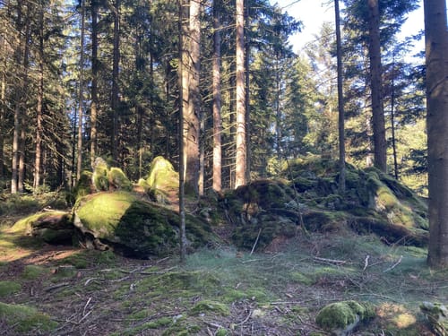 Zum Kolmstein