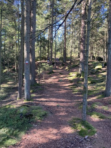 Zum Kolmstein