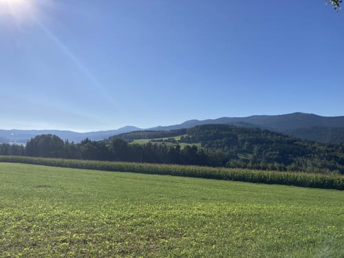 Zum Kolmstein