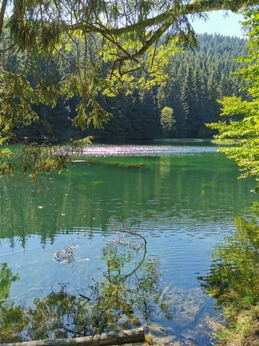 Talsperre Lütsche - Ausgebrannter Stein - Oberhof