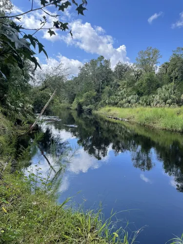 Little Big Econ State Forest / State Forests / Our Forests / Forest &  Wildfire / Home - Florida Department of Agriculture & Consumer Services