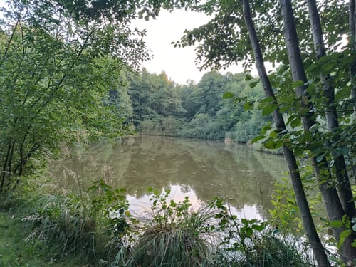 3-Gipfel Weg Hirschau