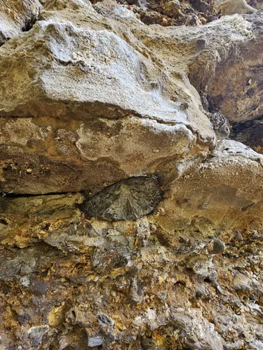 Best Hikes and Trails in Dolliver Memorial State Park AllTrails