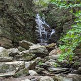 The Cascades Trail, Massachusetts - 1,149 Reviews, Map | AllTrails