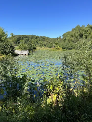 2023 Best River Trails in Natrona Heights AllTrails