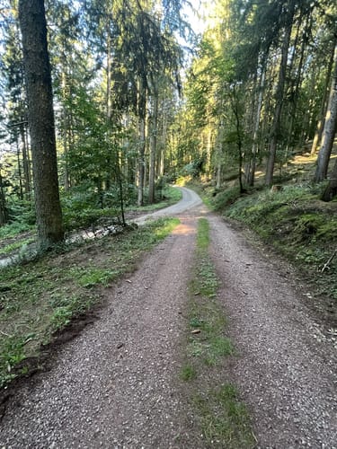 Aus Bonerath in den Osburger Wald