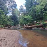 Edwin M. Griffin Nature Preserve, South Carolina - 484 Reviews, Map ...