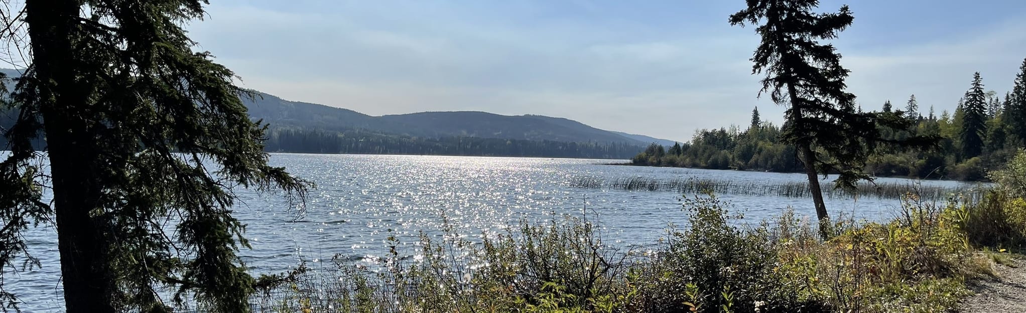 Lac Le Jeune Paddle 6 Reviews, Map British Columbia, Canada AllTrails