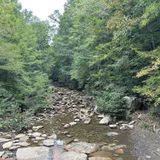 Big Soddy Creek Gulf Trail, Tennessee - 599 Reviews, Map | AllTrails