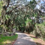 Jekyll Island Bike Trail, Georgia - 682 Reviews, Map | AllTrails