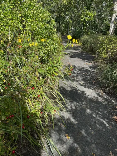 hammonasset beach bike trail