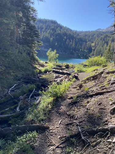 Best Forest Trails in Grover AllTrails