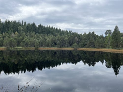 Blindenseerunde