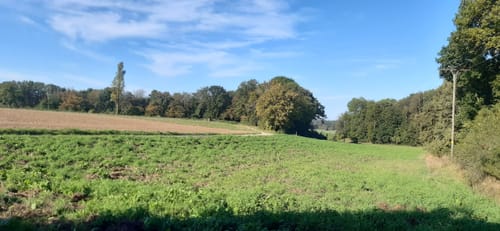 Von Weilerswist zum Forsthaus Londorf
