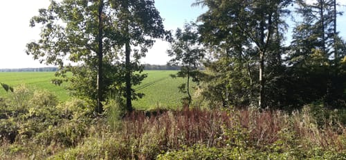 Von Weilerswist zum Forsthaus Londorf
