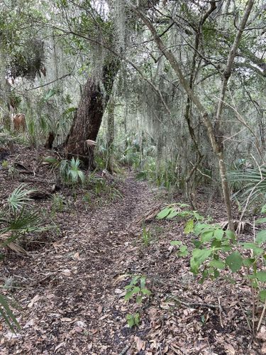 Willow Pond Nature Trail, Florida - 145 Reviews, Map