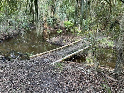 Willow Pond Nature Trail, Florida - 145 Reviews, Map