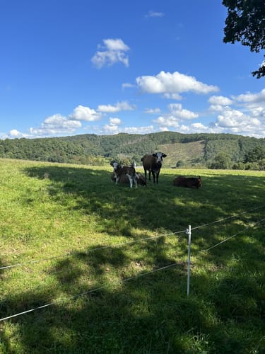 Grubenwanderweg Niederfischbach