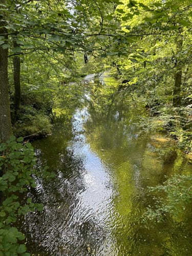 Grubenwanderweg Niederfischbach