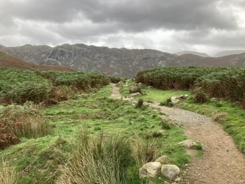 10 Best Trails, Walks, And Paths In Ambleside | AllTrails