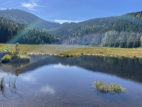 Rundwanderweg Kleiner Arbersee