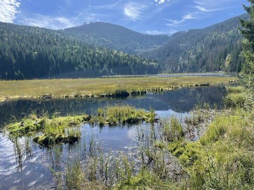 Rundwanderweg Kleiner Arbersee