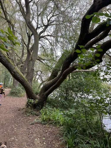 Best Hikes and Trails in Delapre Park | AllTrails