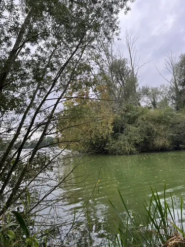 Best Hikes and Trails in Delapre Park | AllTrails
