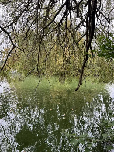 Best Hikes and Trails in Delapre Park | AllTrails