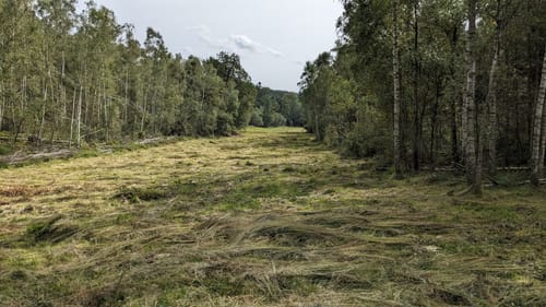 Rundwanderweg Affolterbach 1: Rotes-Wasser-Weg