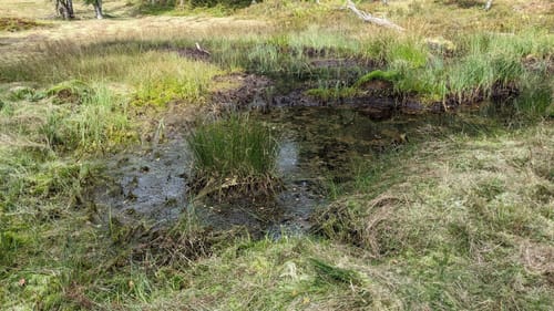 Rundwanderweg Affolterbach 1: Rotes-Wasser-Weg