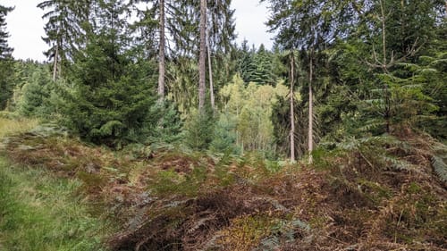 Rundwanderweg Affolterbach 1: Rotes-Wasser-Weg