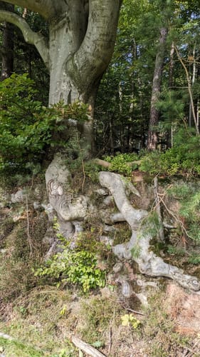 Rundwanderweg Affolterbach 1: Rotes-Wasser-Weg