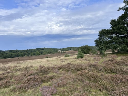 Nordic Walking 39M Niederhaverbeck