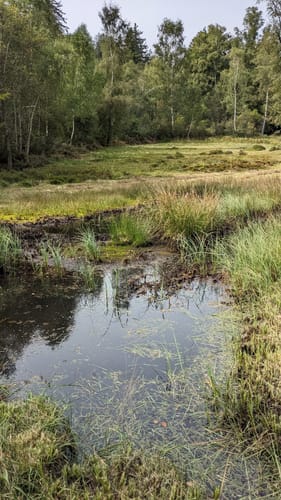 Rundwanderweg Affolterbach 1: Rotes-Wasser-Weg