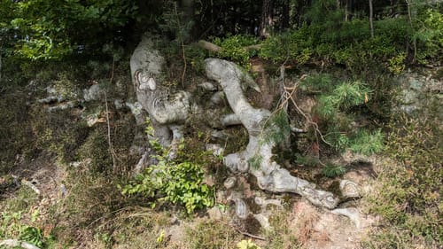 Rundwanderweg Affolterbach 1: Rotes-Wasser-Weg