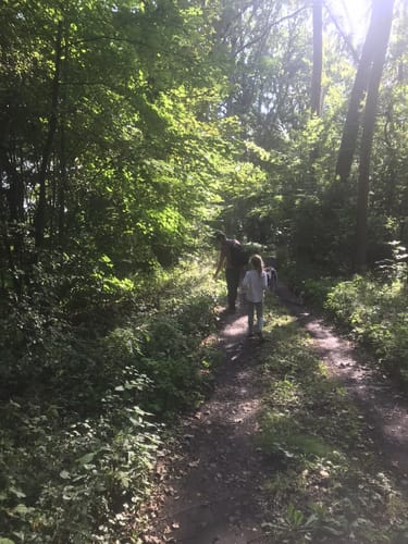Um den Kesselsee und Paradiessee